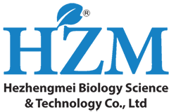 HZM Logo